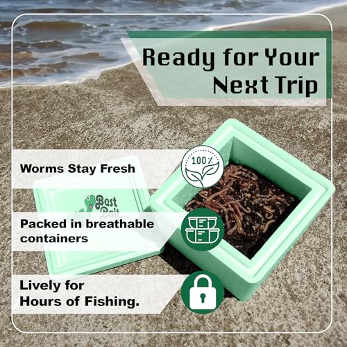 Best Bait 120 Canadian Nightcrawlers (4-6 inch) - Premium Live Fishing Bait & Pet Feeder -High-Protein, Calcium-Rich Worms Ideal for Trout, Bass & Panfish - Perfect for Reptiles, Birds & Small Animals