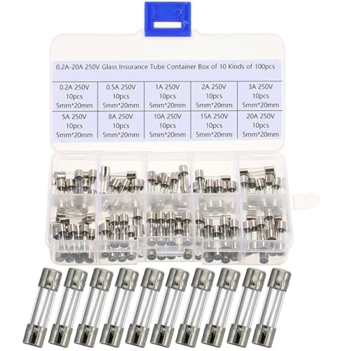 100 StückFeinsicherungen Flink,5x20mm 250V Feinsicherung Sortiment Glassicherung, Glasrohrsicherung, Glas Sicherungen(0.5A 1A 2A 3A 5A 6A 8A 10A 15A 20A)