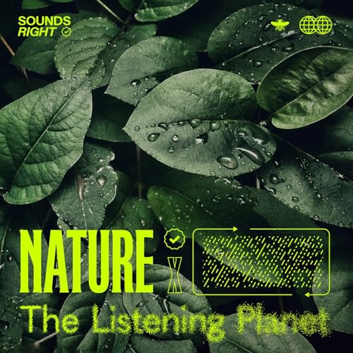 NATURE & The Listening Planet