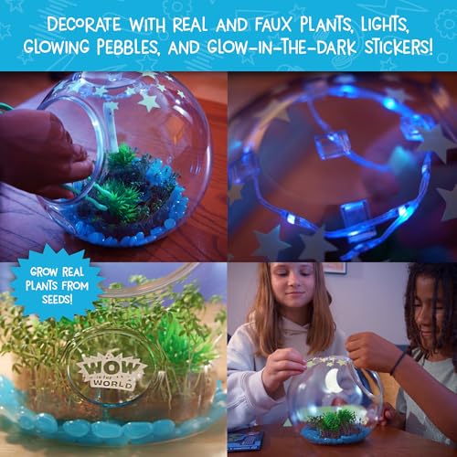 wow in the world light-up terrarium  grow plants decorate your terrarium glow-in-the-dark uv lights companion audio content bonus reusable science tool stem toy for kids 6 by thames amp kosmos