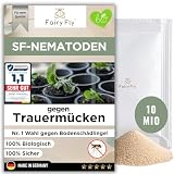 FairyFly® SF Nematoden gegen Trauermücken (10 Mio für 20 m² / 100 Pflanzen) – Nematoden zum Gießen für Zimmerpflanzen, Balkon & Gewächshaus – biologische Schädlingsbekämpfung ohne Chemie