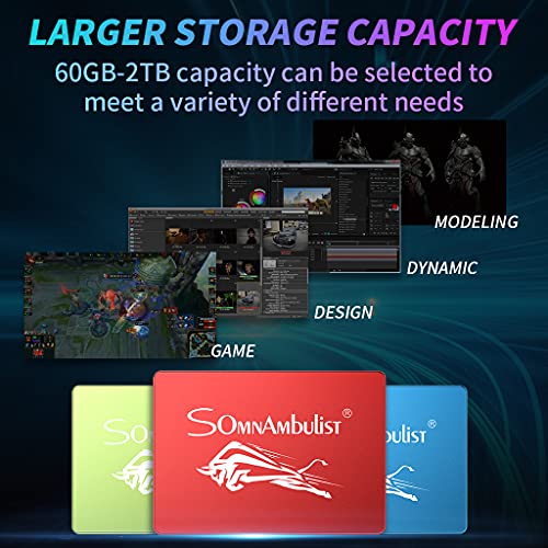 Somnambulist SSD 240GB SATA III 6Gb/s 2.5 Unità a...