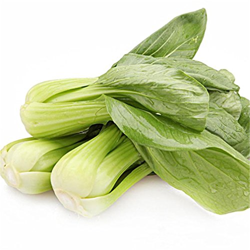 Bok Choy Pak Choi Shanghaiqing White Cabbage 2000 Seeds Easy And Fast Growing #TOP3