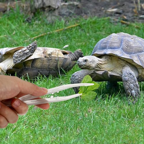 VOSAREA 2stücke Teiliges Reptilien Futterpinzetten Elastisch Leuchtend Fütterungszangen für Echsen Schildkröten Skorpione Terrarienzubehör Sichere Pinzetten für Reptilien und Amphibien-4