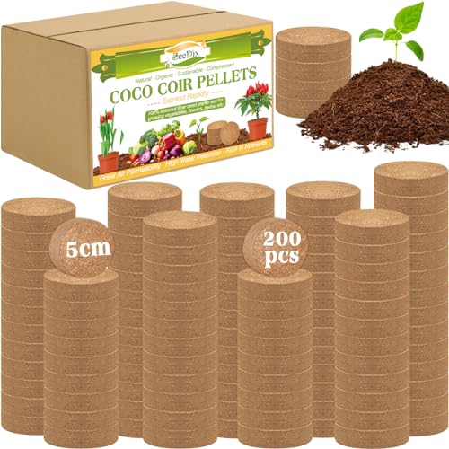 How long can seedlings grow in coco coir