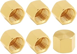 6PCS Brass 1/4 Inch NPT Female Caps Outer Hex 1/4" NPT Thread Socket Pipe End Cap Plugs Fitting for Water/Oil/Gas