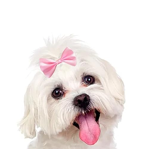 Miniatura 4 de 16 piezas (8 pares) pinzas para el pelo de perro de pelo corto, accesorios pequeños hechos a mano para el cabello, lazo para mascotas, cachorros,