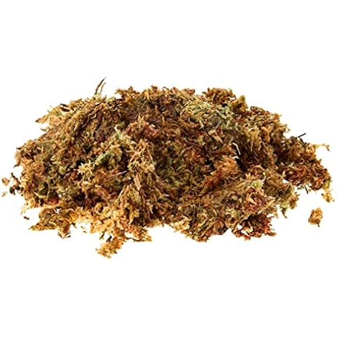 Gardman 04105 Fresh Sphagnum Moss-Large Pack, Green, 3 x 35 cm/2 x 40 cm - Packaging May Vary Cover