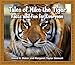 Tales of Mike the Tiger: Facts and Fun for Everyone