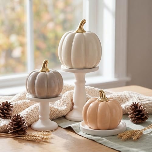 Ferrochef 3 Pcs Ceramic Pumpkins Fall Tabletop Decor, Light Colored Style