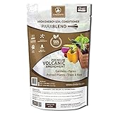 Cinderite 100% Natural Soil Conditioner Amendment for Indoor, Outdoor Plants & Gardens - Volcanic Soil Additive stimulates Soil Micro-Organism Activity. Safe Around Children and Pets – 12 lb. Bag