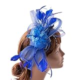 1920s Medieval Feather Shape Headband Hair Hoop Woman Cosplay Performances Headpiece Festival Party Costume Props