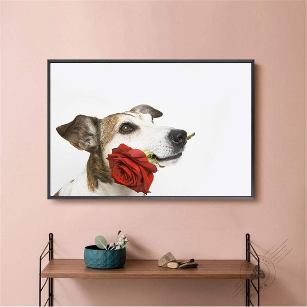 cornici per occhiali da bacio