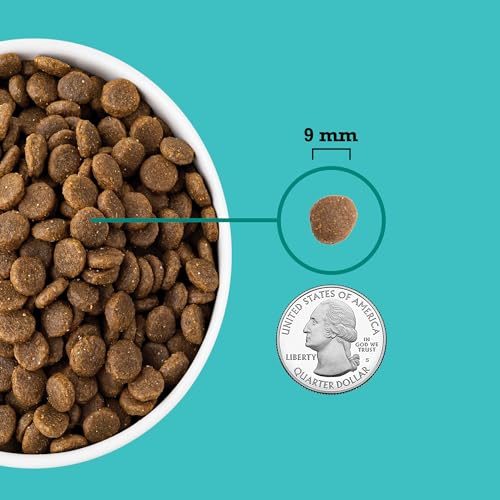 Image of ACANA Wholesome Grains Dry Dog Food Puppy Sea & Farm Recipe, 4lb (Pack of 2)