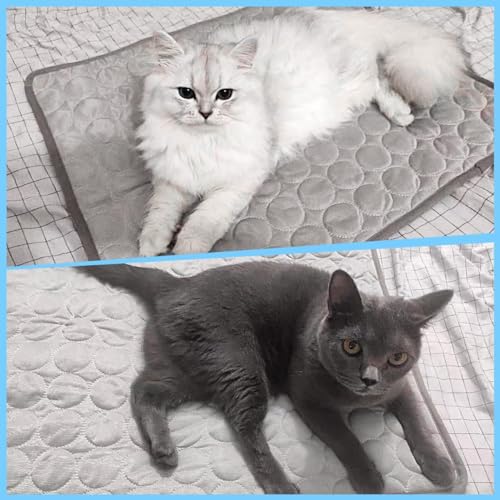 fuzhik Kühlmatte Katzen Selbstkühlende Matte Kühldecke Hund Haustiere Hundedecke rutschfeste Schlafbett Waschbar Atmungsaktiv Kühlkissen Sommer Heißes Wetter, 60 * 51cm