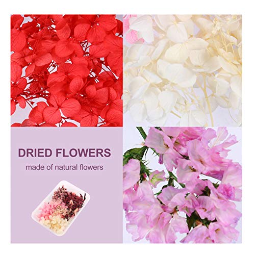 EXCEART 3 pacotes de flores secas naturais prensadas secas para artesanato com pingente de vela de s