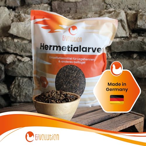 eivolution Soldatenfliegenlarven Getrocknet 2,5 kg - Hühnerfutter