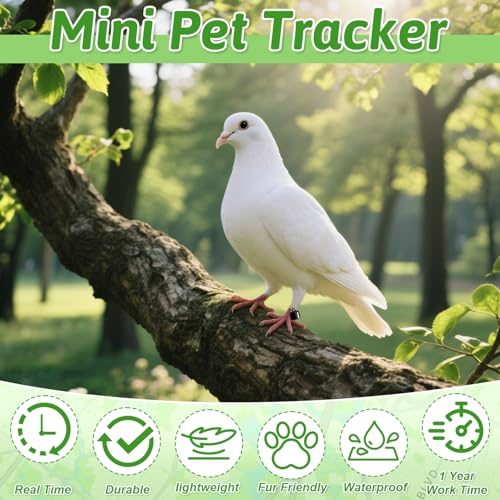 Pipihome GPS Tracker Hund Katze, Mini Katzen Tracker Ohne ABO, Katzentracker Klein Kompatibel mit iOS & Android, Weltweite Standortverfolgung, Mini-Haustierortungsgerät