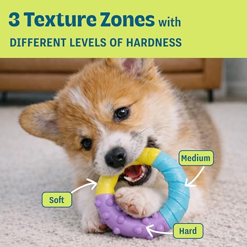 Image of Orka Puppy 3 Pack Dental Chew Toys, Multi-Textured, Tug Rope & Fetch, Teething Puppies & Small Dogs, 10.5 inch