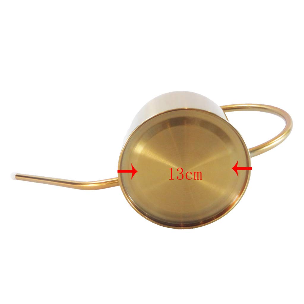 Arrosoir en Acier Inoxydable avec Longue Verseuse et Style Élégant pour Soins Réguliers des Plantes d'Intérieur Adapté Véranda Balcon Séjour
