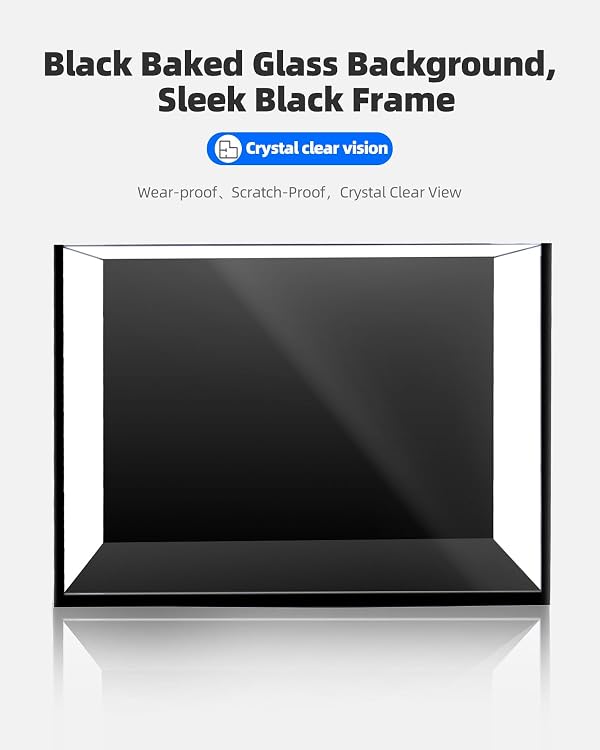2.5 Gallon Clear Glass Fish Tank, Small Fish Tank Aquarium for Betta, Goldfish, Snail,Shrimp and Aquatic Planting by minilake - Image 3