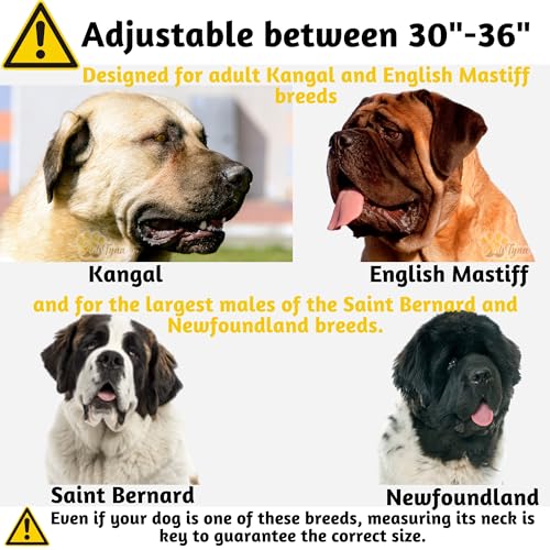 ADITYNA Riesiges Hundehalsband mit Griff, verstellbares XXL-Halsband 76,2 bis 91,4 cm, exklusiv für große Hunderassen wie Mastiff, Kangal, Bernhardiner (Schwarz, XXL: Halsumfang von 76,2–91,4 cm)