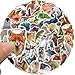 Cute Animal Stickers, Zoo Animals Stickers, 50Pcs FDCcX Vinyl Waterproof Sticker Pack for Water Bottles, Laptop, Scrapbook, Journal, Funny Stickers for Kids Teens Adults Tea (Zoo Animals)