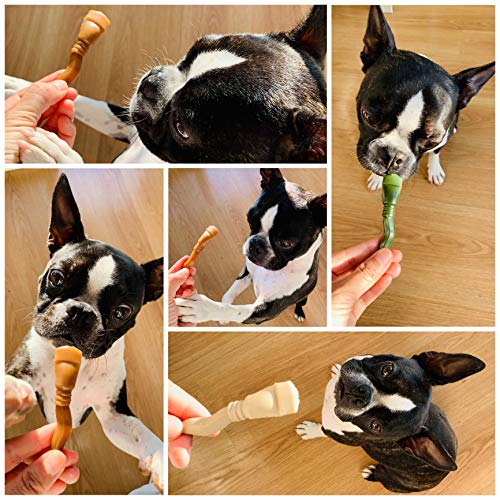 Vegetarische Hundesnacks. Zahnpflege Kauartikel für Kleine Mittlere und Große Hunde. Glutenfrei Fettarm. 24 U.
