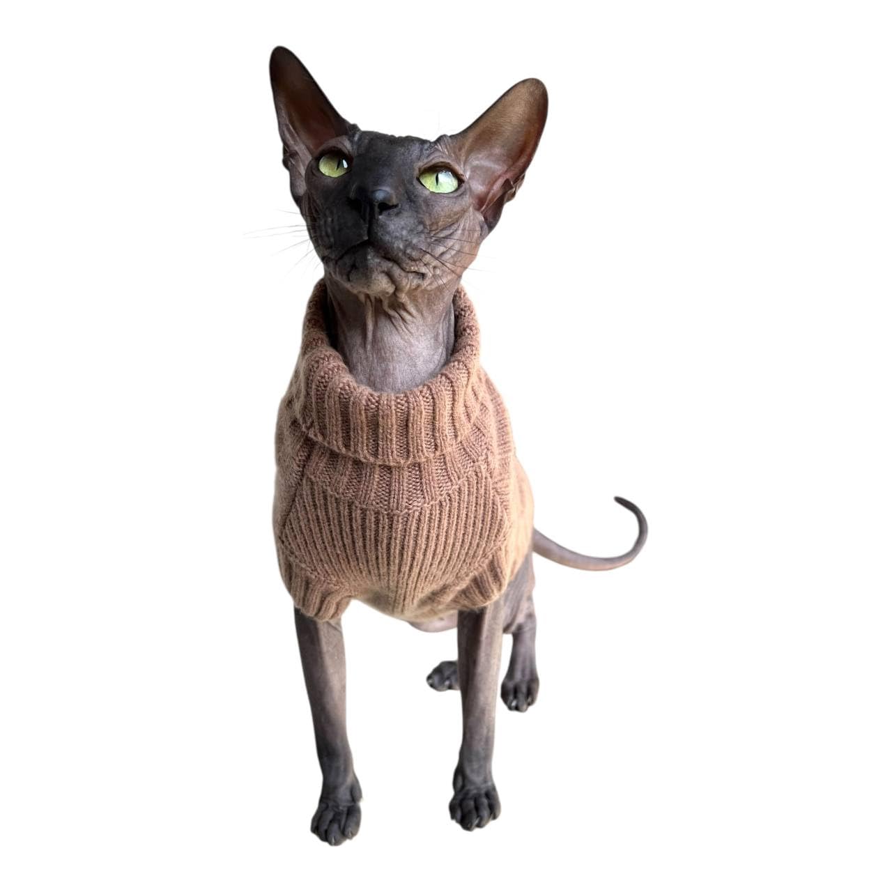 Musgo moca de cuello alto de gato, 100 % cachemira para esfinge y gatos desnudos (pequeño)