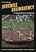 Juvenile Delinquency: A Sociological Approach