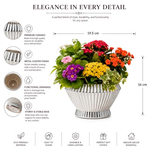 Image of Xtore Elegant Fluted Ceramic Planter with Drain Tray | Glossy White Flower Pot for Indoor Plants, Succulents & Tabletop Decor (14.5 cm x 12.5 cm)