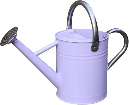 Metal Watering Can 1 Gallon for Outdoor Garden Plants,Purple | Watering Cans Stainless Steel Handhold with Removable Spout,Galvanized Watering Can for Patio, and Houseplants