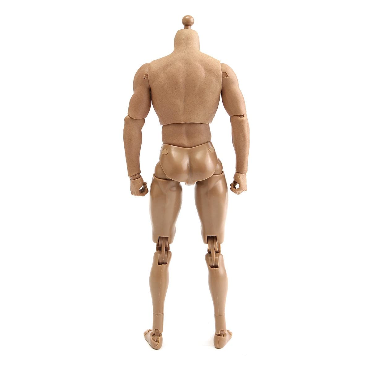 Amazon | TTM18 / 19用1/6スケールアクションフィギュア男性ヌード筋肉