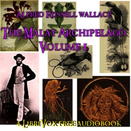 021 - Chapter XX Amboyna