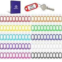Redamancy 100 Stück Schlüsselanhänger, 10 Farben Kunststoff Schlüsselanhänger, Etiketten Schlüsselbund, Beschriftbar Schlüsselschilder mit Schlüsselringen Key Label für Zuhause, Büros, Pet ID, Koffer