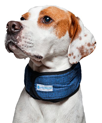 Aqua Coolkeeper Pacific Hundehalsband mit Frischefunktion, blau