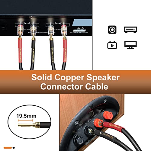 VVFLED 2 Pack 3m Bi-Wire Speaker Cable, Home Theater Premium Cable With Gold-Plated Banana Tip Plugs - Image 4