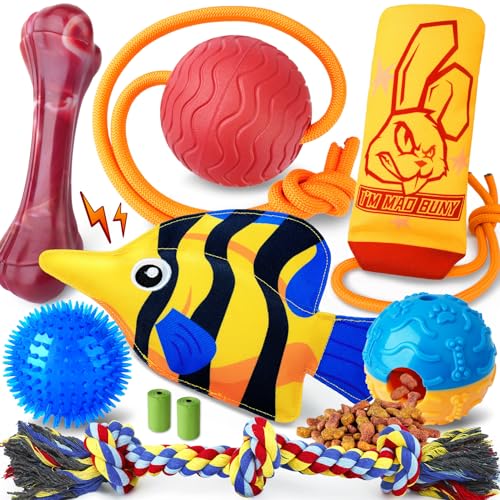 10 Best Dog Box For Heavy Chewers