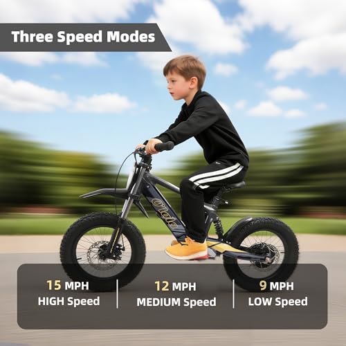 KOZRUNS Electric Dirt Bike for Kids