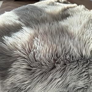 Waterproof-Faux-Fur-Dog-Blanket-Couch-Cover-for-Dogs-Plush-Throw-for-Sleeping-Whelping-and-Comfort-Sofa-Bed-Car-Furniture-Protection-with-Soft-Stain-Resistant-Surface-Machine-Washable-60x80 - Cucciolini Doodles   Waterproof-Faux-Fur-Dog-Blanket-Couch-Cover-for-Dogs-Plush-Throw-for-Sleeping-Whelping-and-Comfort-Sofa-Bed-Car-Furniture-Protection-with-Soft-Stain-Resistant-Surface-Machine-Washable-60x80