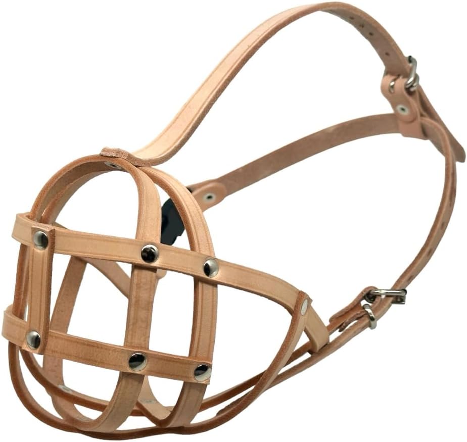 Soft Genuine Leather Dog Muzzle for Chow Chow and Wide Snouts - Breathable Anti-Biting, Chewing, Scavenging Training Tool - Adjustable Metal Buckles, Lightweight & Non-Toxic (CH2, Natural)