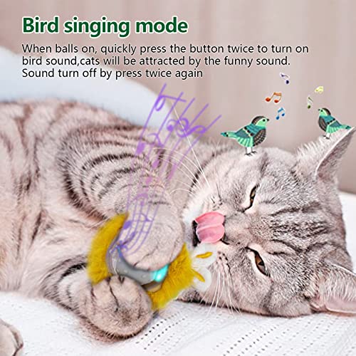 Aukl Interactive Cat Toys Ball With Super Driver, Motion Activate Electric Cat Toy Recommend On Wool Carpet (Robot) #TOP3