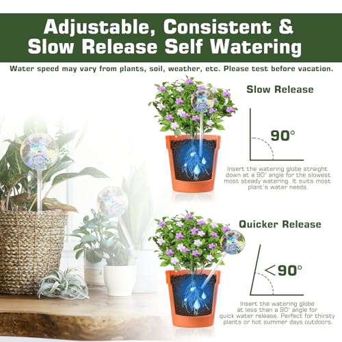 Self watering globes  - image 5