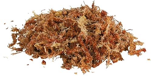 Trixie 76158 Terrarienmoos, tropisches Terrariensubstrat, ergibt 4,5 l