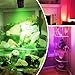 URTOM 6W RGBW Up Lights Indoor Christmas Spotlight Indoor LED Color Changing Uplighting Indoor with Remote 120V Spot Lights Indoor Plug in Floor Spotlight Indoor for Plant Picture Party, 4 Pack