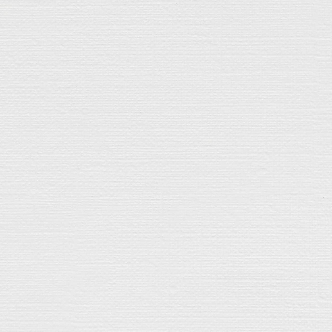 Canson Artist Series Canva-Paper, Roll, 48ininx10yd (136lb/290g) - Artist Paper for Adults and Students - Oil Paint, Acrylic Paint, Mixed Media