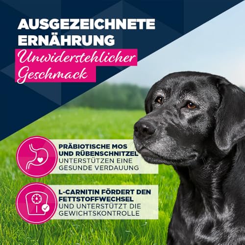 Eukanuba Senior Hundefutter Nass mit Pute und Karotte, Getreidefreies Premium Nassfutter für ältere Hunde, 6 x 400 g Dosen