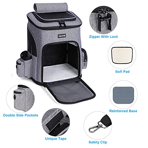 HALOVIE Pet Carrier Backpack Expandable for Cats Dogs Under 18 LB, Breathable Mesh Cat Backpack Carrier Bag, Foldable… - Image 3