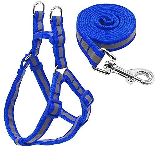 D&C Paws Reflective Nylon Dog Harness and Leash Set for Puppies and Dogs 15mm, Blue (Color May Vary) (B094H3T61Y) Amazon Price History, Amazon Price Tracker