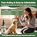 Parv0 for Dogs, Digestive Rescue for Dogs and Puppies, Vet-Informed Herbal Liquid for Occasional Diarrhea, Vomiting & Stomach Upset, Supports Appetite, Gut Health, Stool Consistency & Vitality, 2oz